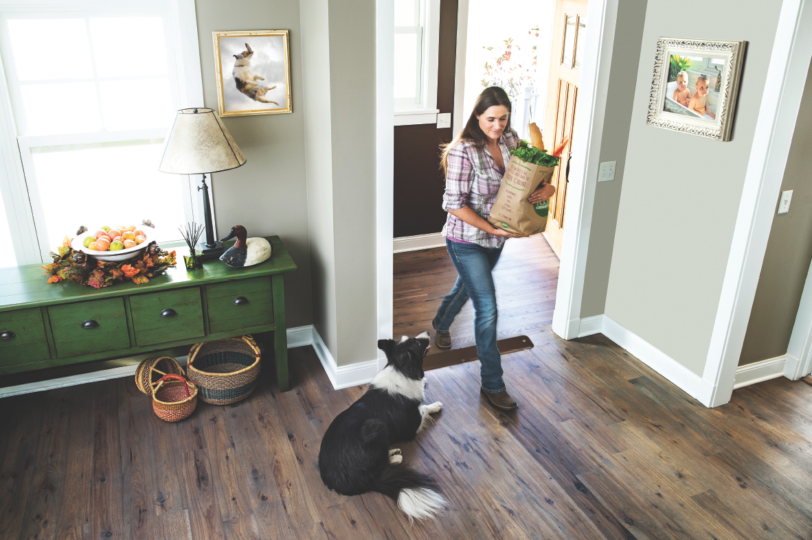 Shields® Gate Invisible Fence® Brand